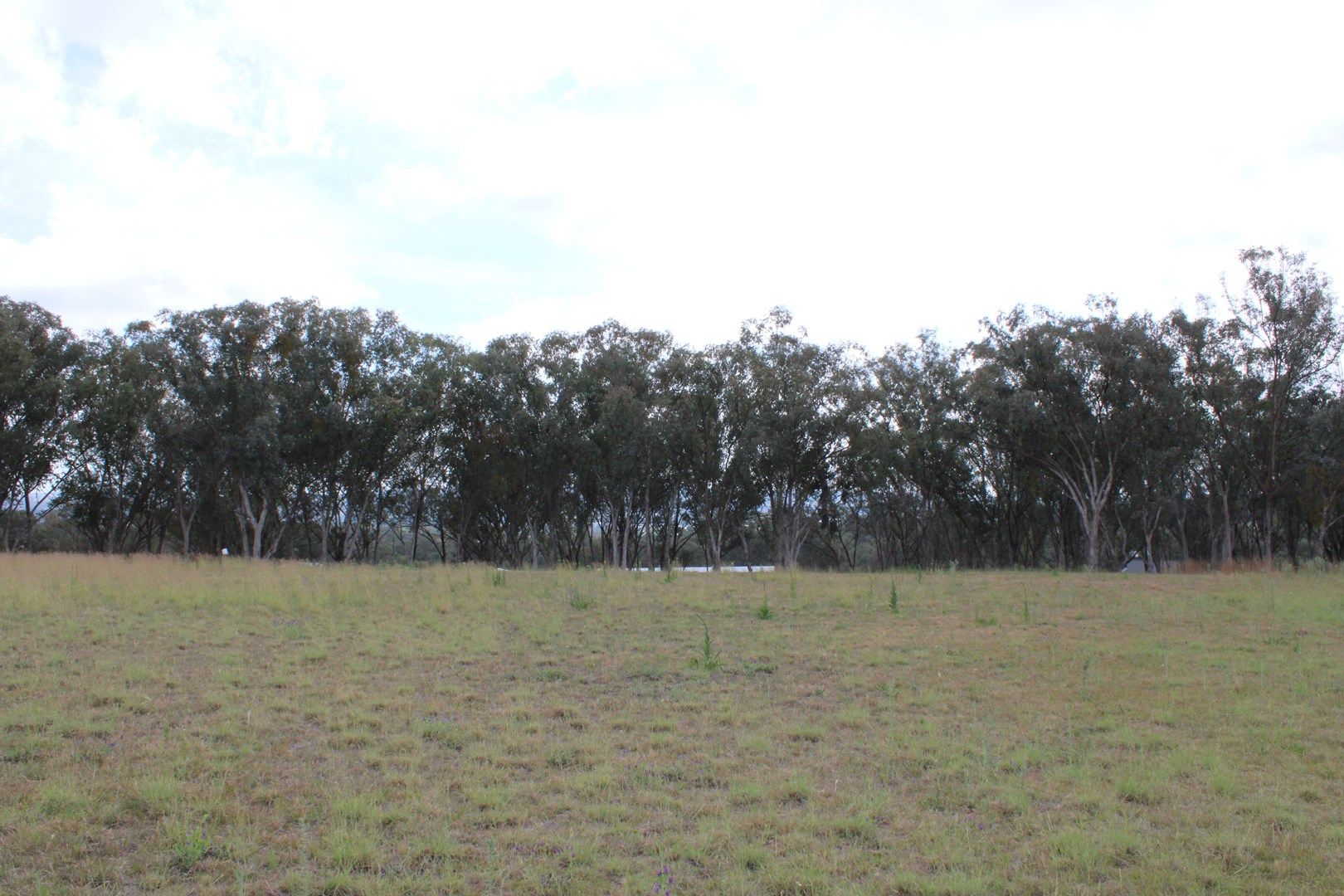 Lot 30 Sylvan Drive, Inverell NSW 2360, Image 1