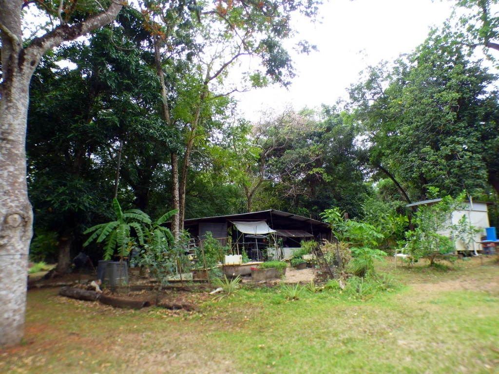 Image 13