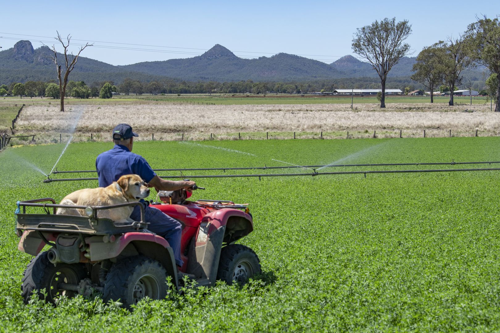 1138 Middle Road, Peak Crossing QLD 4306, Image 1