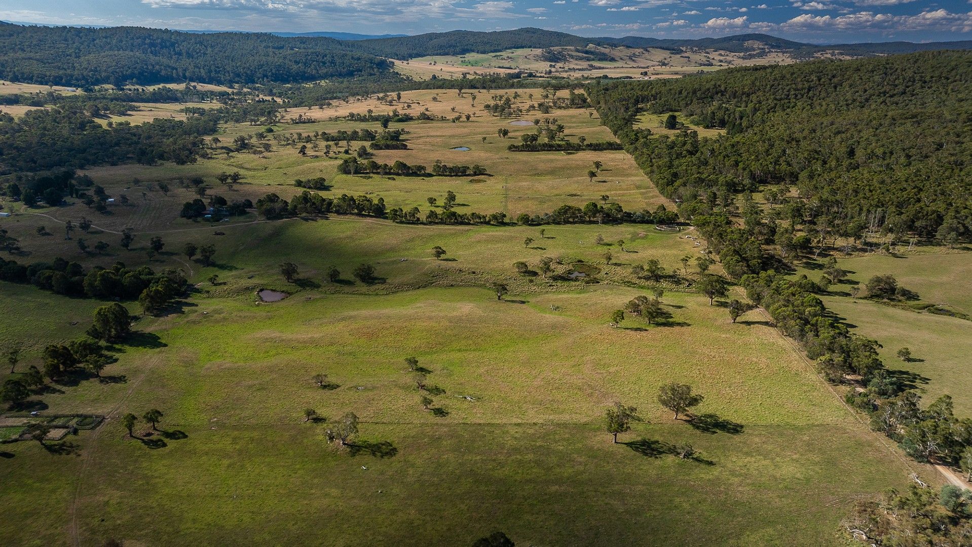 'Woodville', Delegate River VIC 3888, Image 0