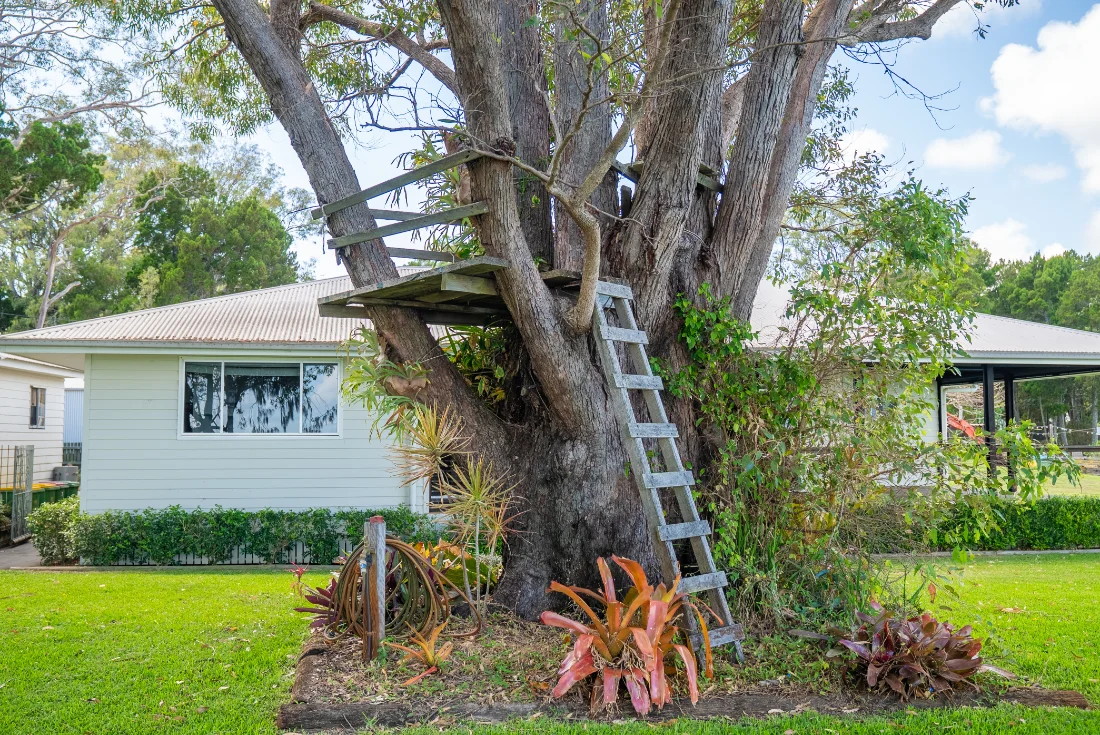 Additional image 45 of 2 Birch Street, Amity QLD 4183