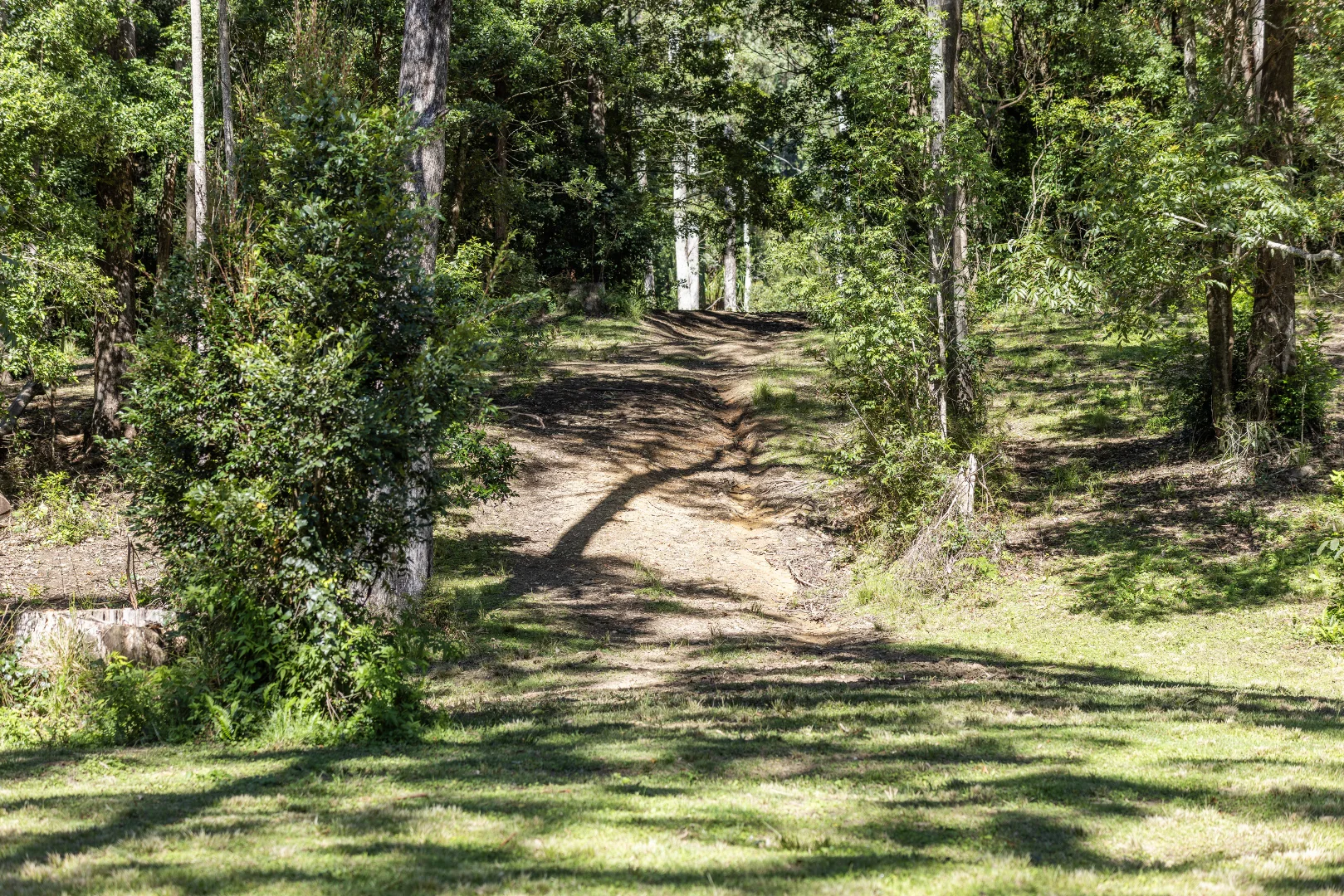 Image 13