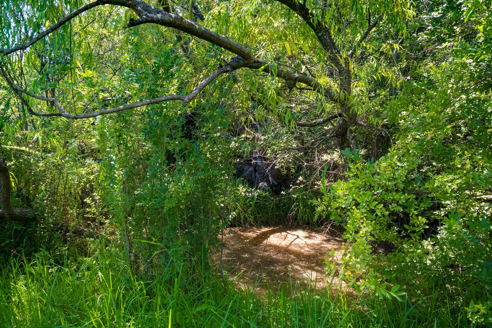 Additional image 28 of 86 Garfield Road, Numbugga NSW 2550