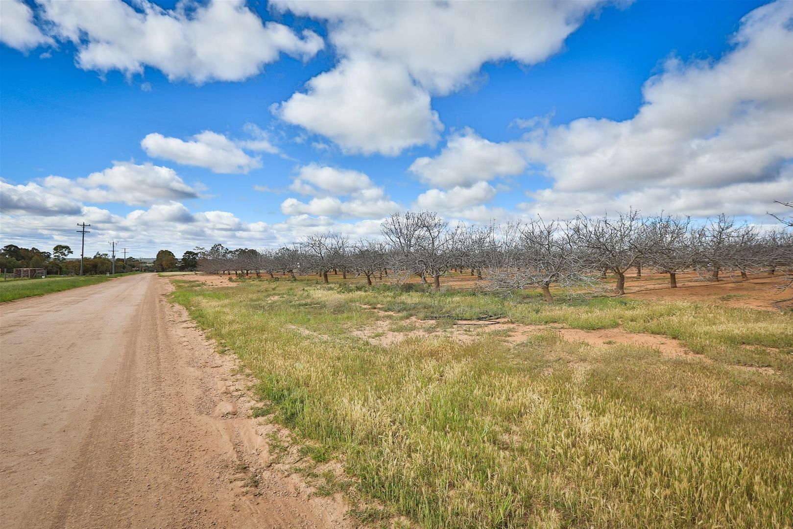 Lot 4 Barnetts Road, Red Cliffs VIC 3496, Image 1