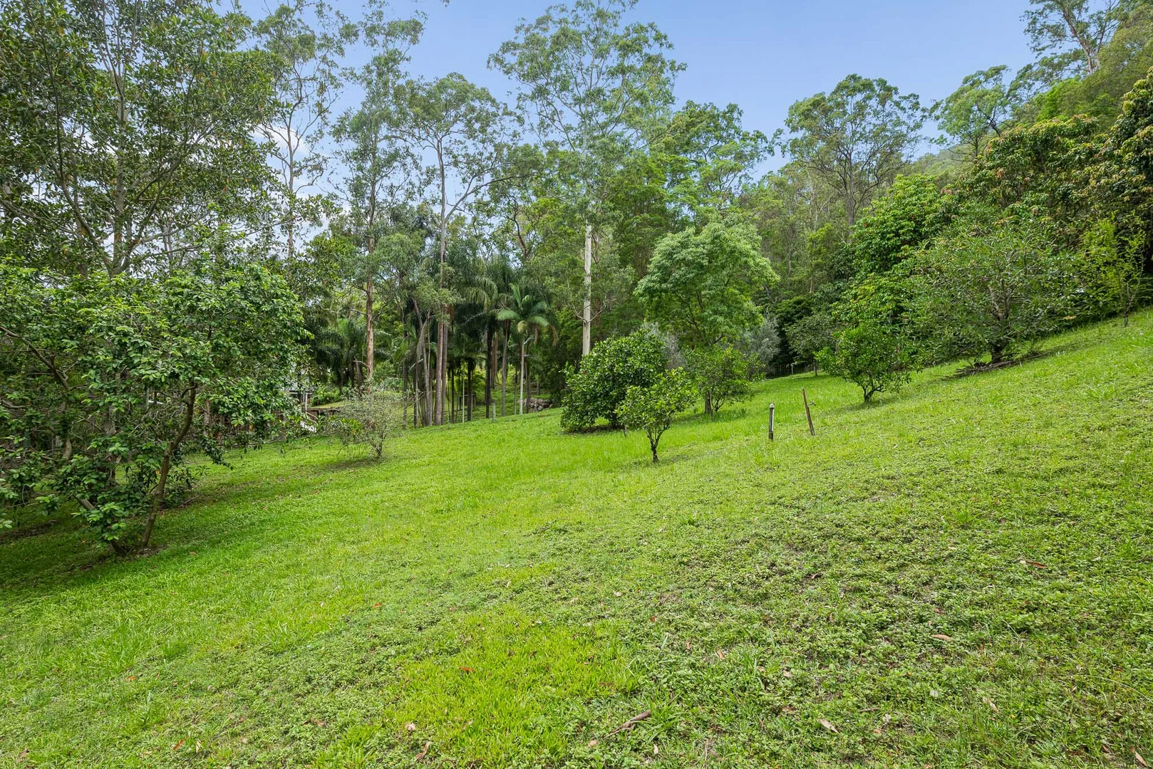 Image 15