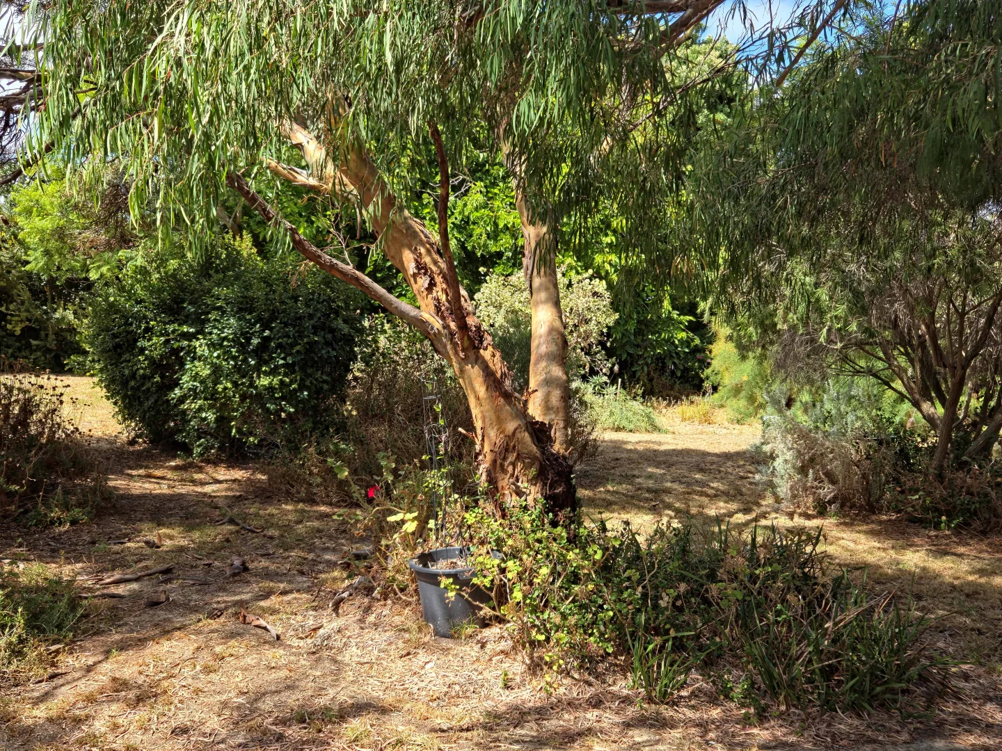 Additional image 53 of 17 Birdwood Street, Hopetoun WA 6348