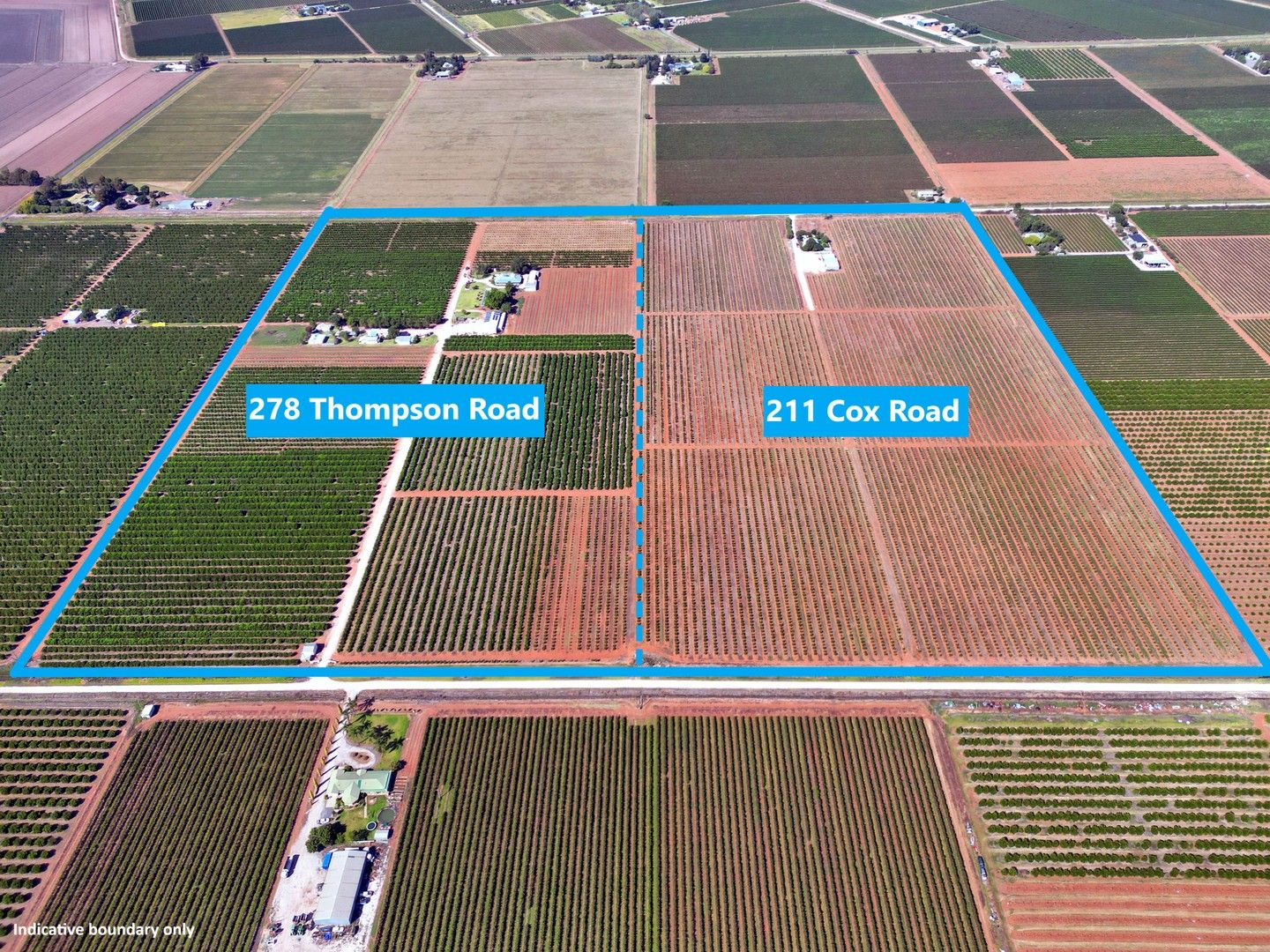 278 Thompson Road & 211 Cox Road, Hanwood NSW 2680 Specialist Farm