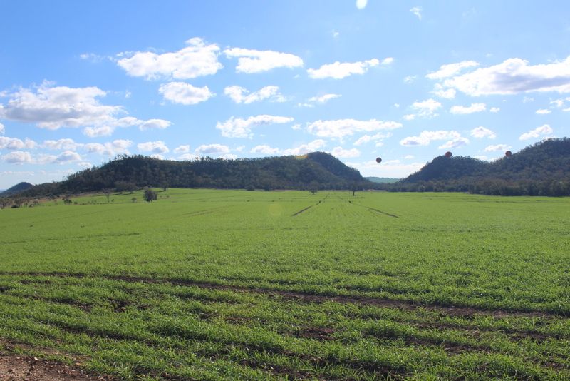 " Wilga Valley", Edgeroi NSW 2390, Image 2