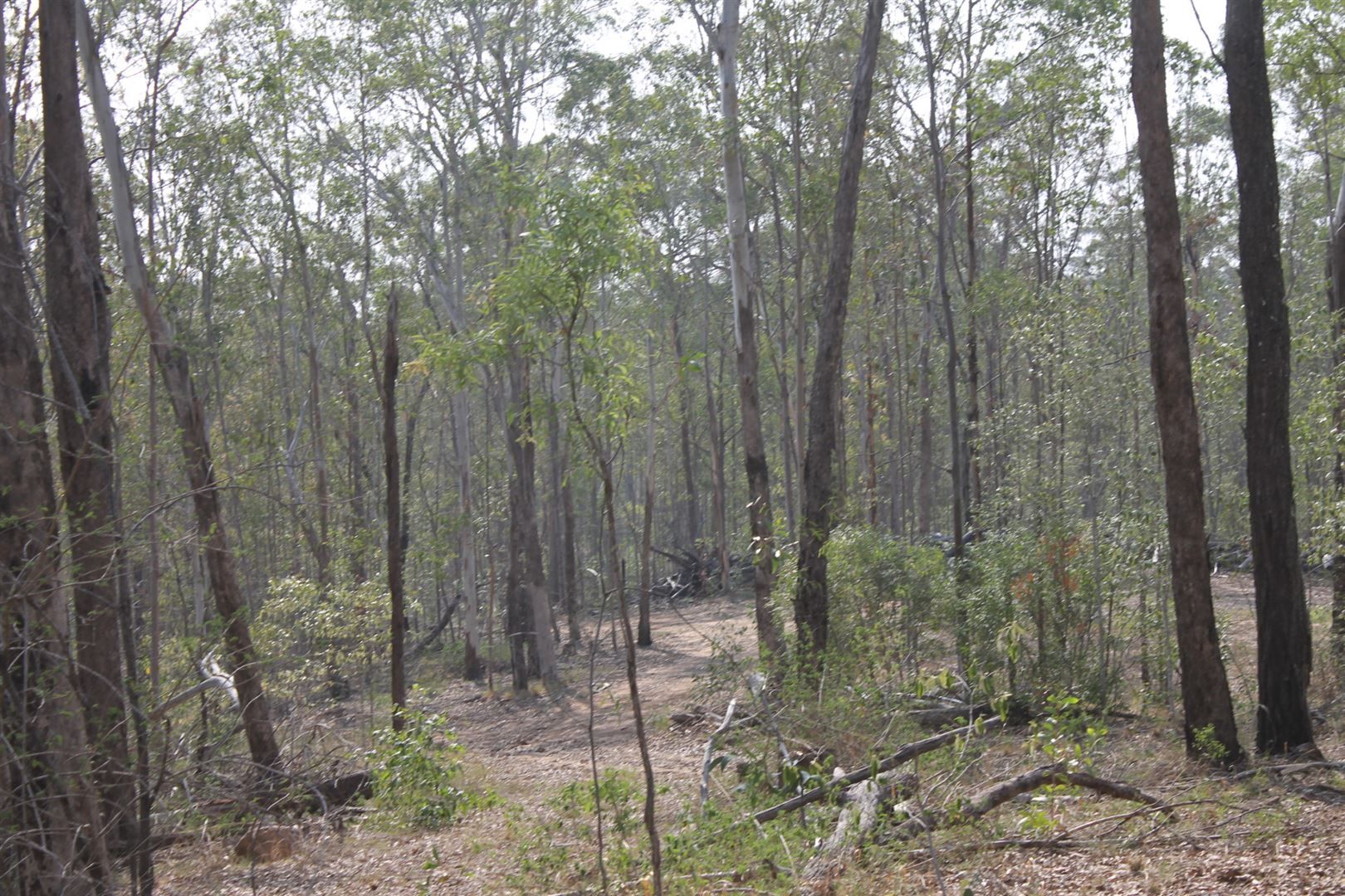 Lot 2 Shannonbrook Road, Shannon Brook NSW 2470, Image 2