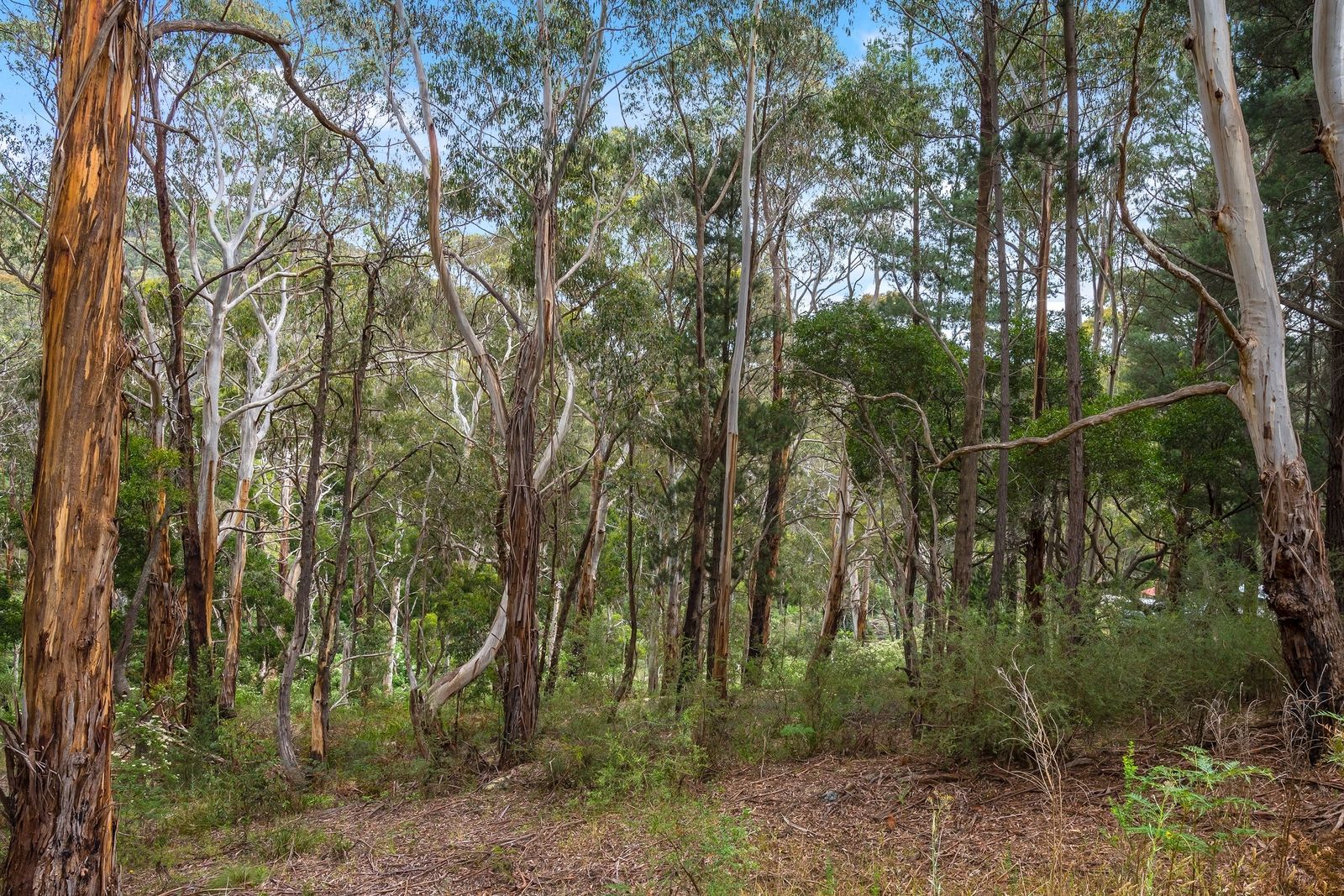 Lot 1 Martin Street, Blackwood VIC 3458, Image 1