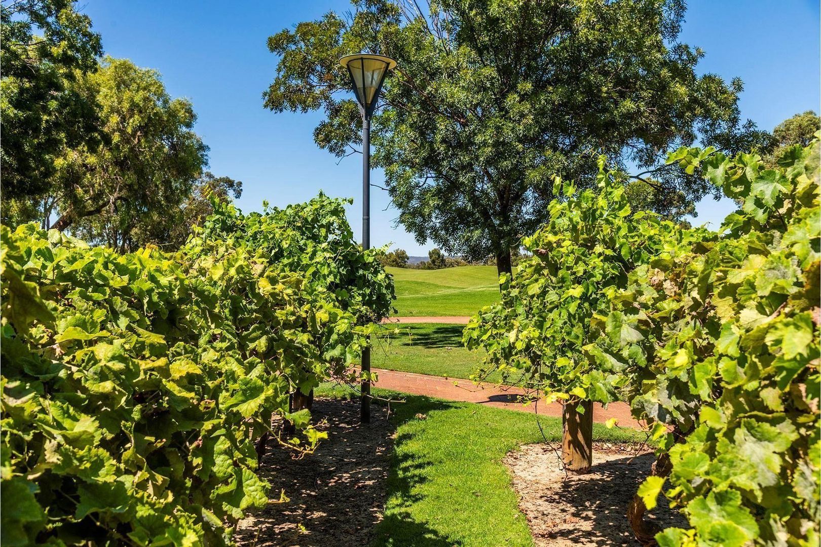 2 The Fairways, The Vines WA 6069, Image 2