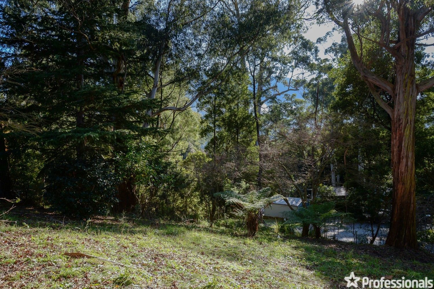 2A Old Warburton Road, Warburton VIC 3799, Image 2