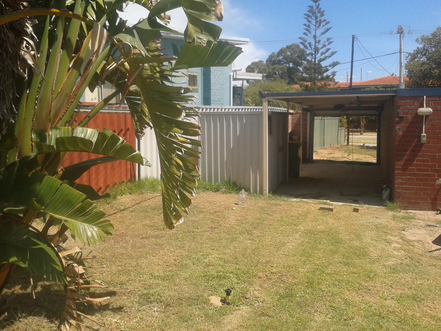 Image 11