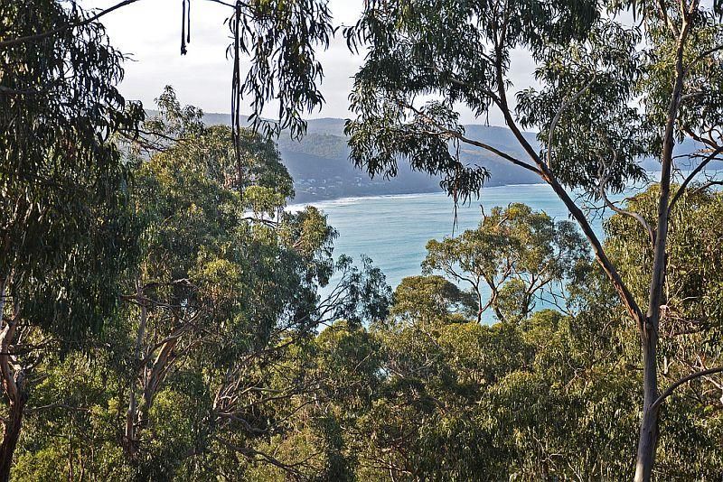 22 Alsop Street, Lorne VIC 3232, Image 0