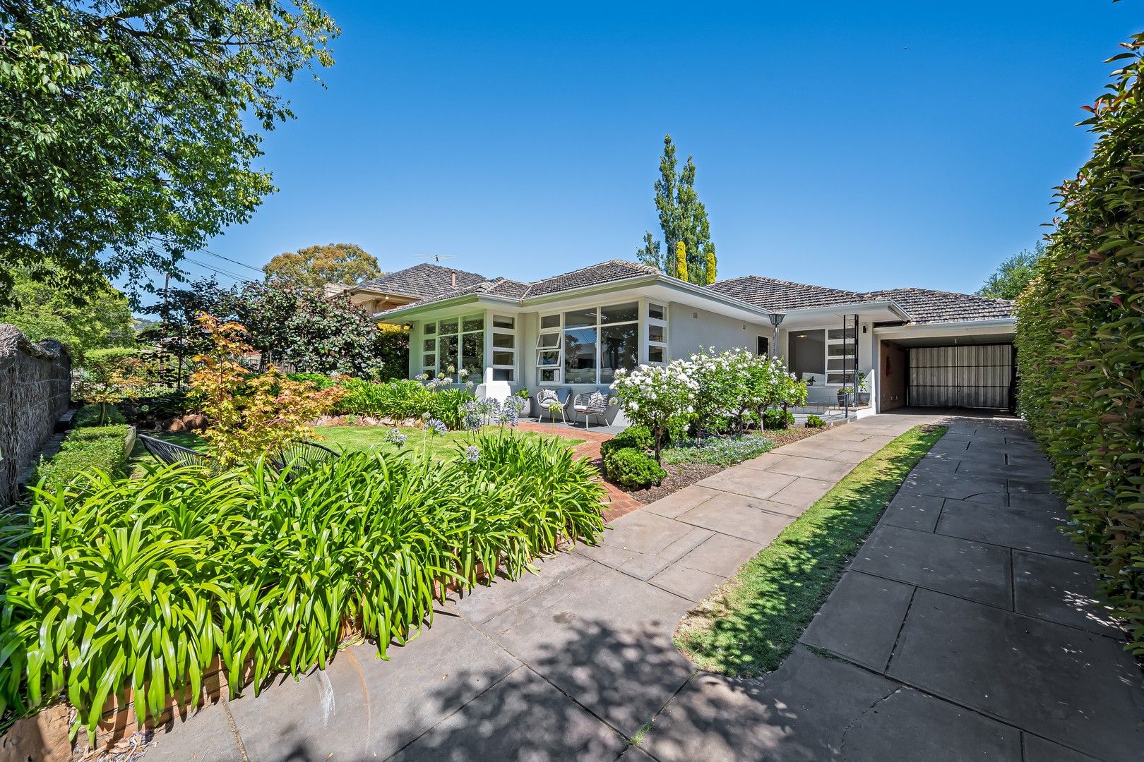 48 Hay Road, Linden Park SA 5065, Image 0