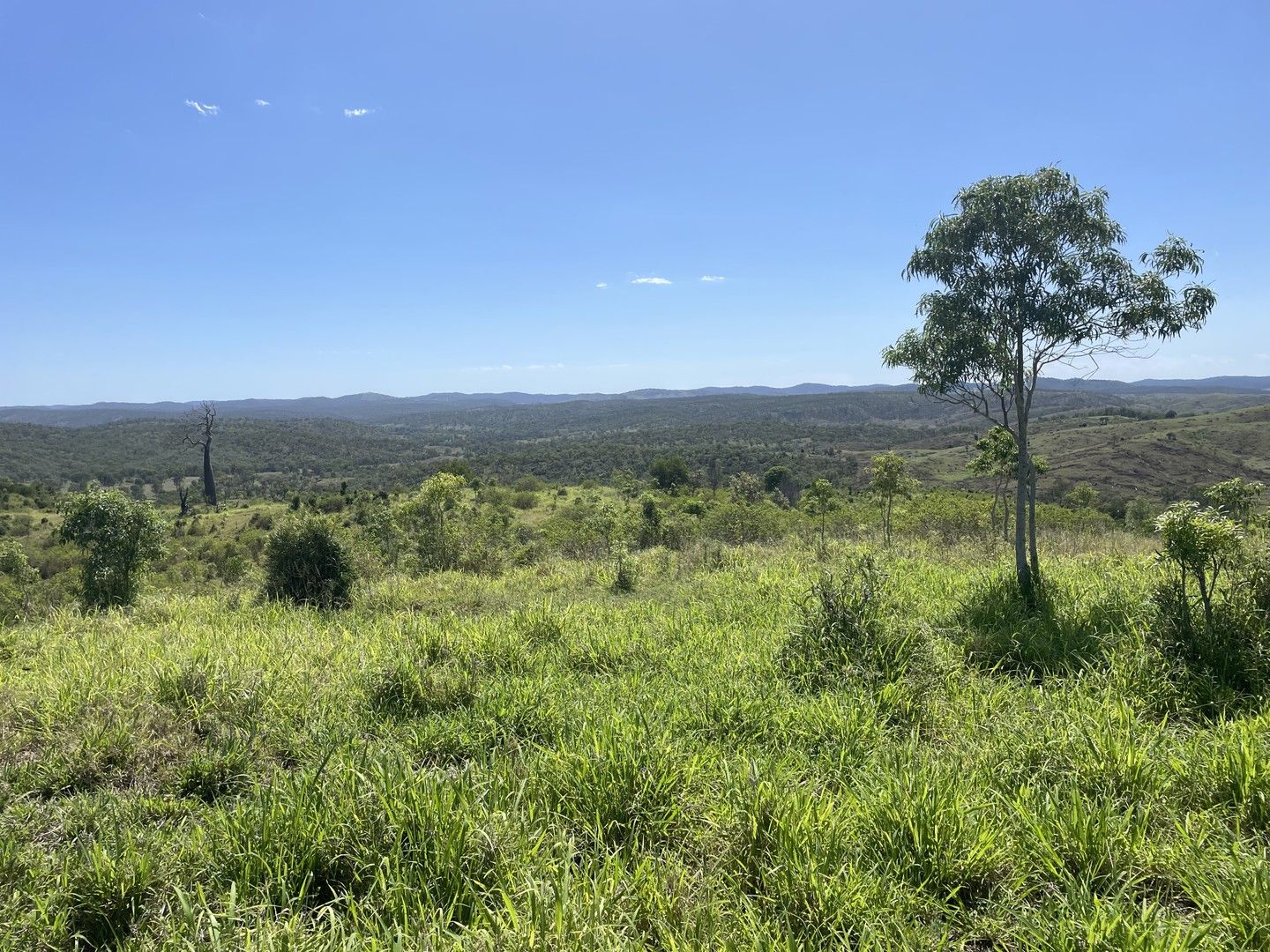 Monto QLD 4630 House for Sale Domain