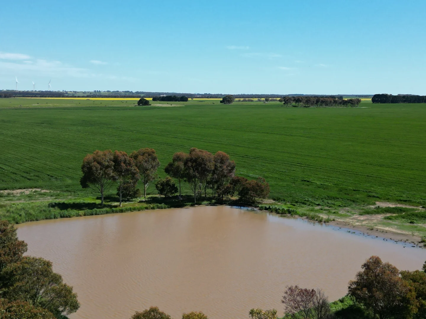 Additional image 20 of Woorndoo-Darlington Road, Woorndoo VIC 3272