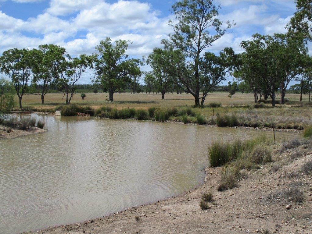 5528 ACRES BREEDING & BACKGROUNDING, Moonie QLD 4406 House for Sale