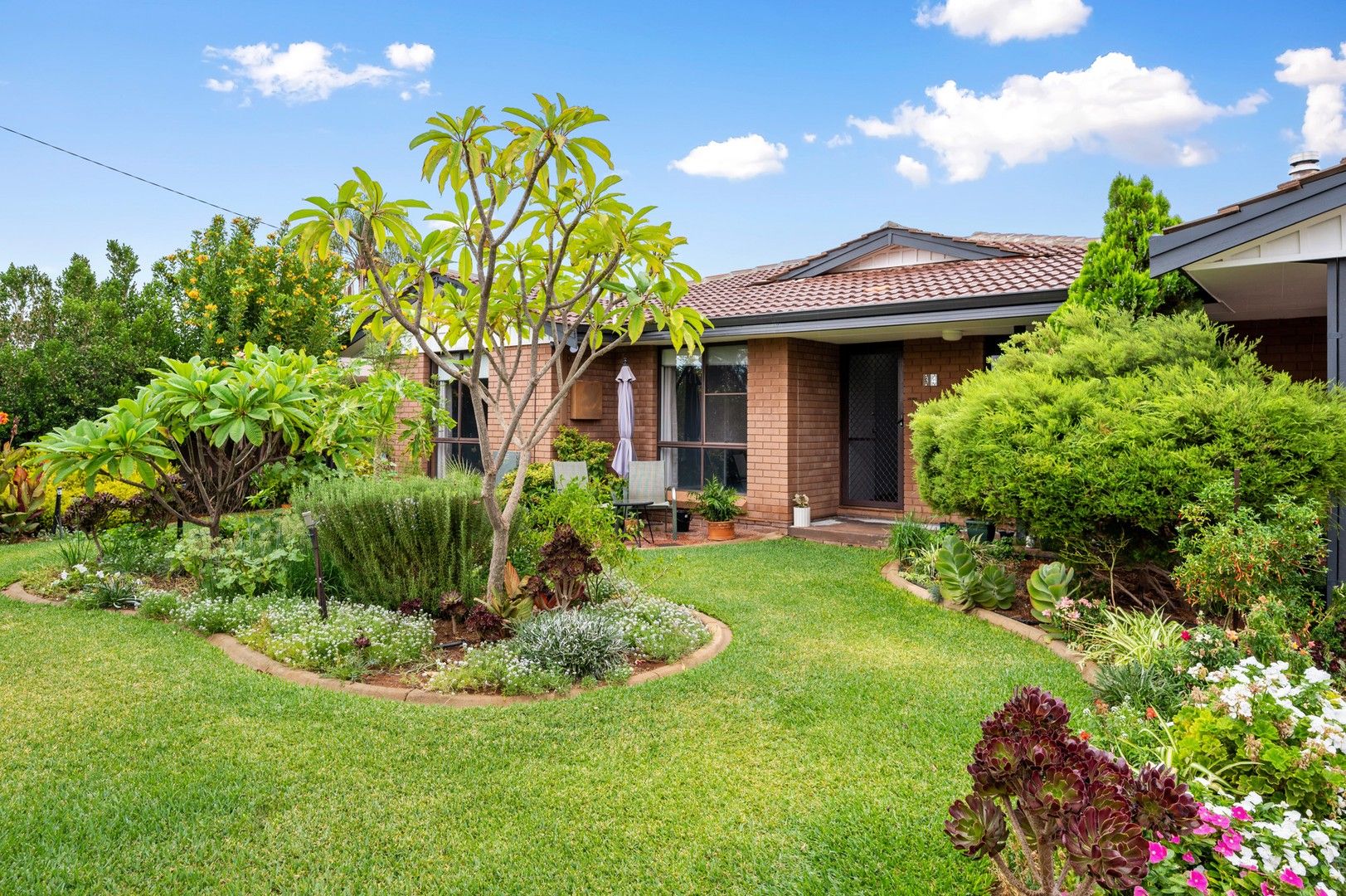 3 bedrooms House in 34 Sewell Dr SOUTH KALGOORLIE WA, 6430