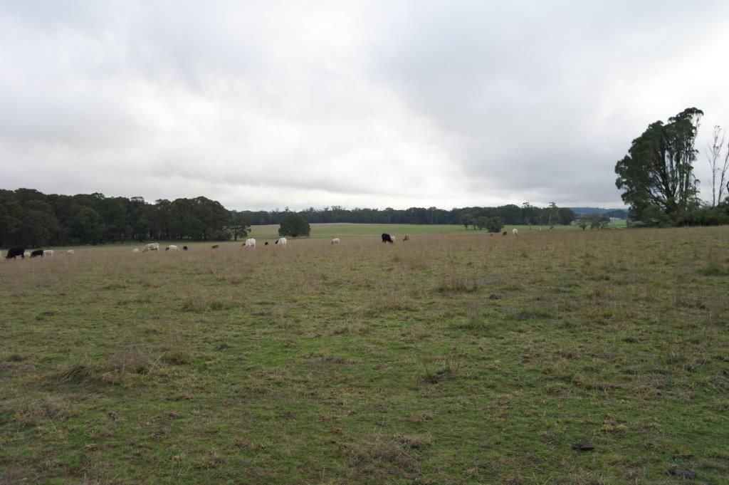 Lot 336 245 Gorham Road, Crookwell NSW 2583, Image 0