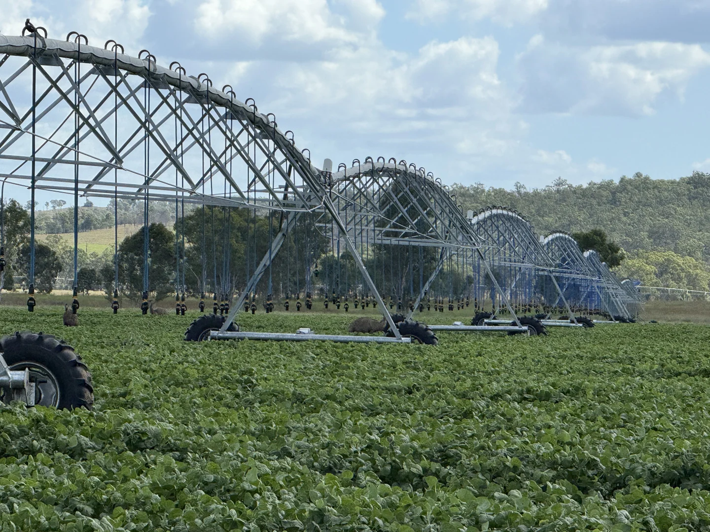 Additional image 4 of 24962 Burnett Highway, Ceratodus QLD 4627