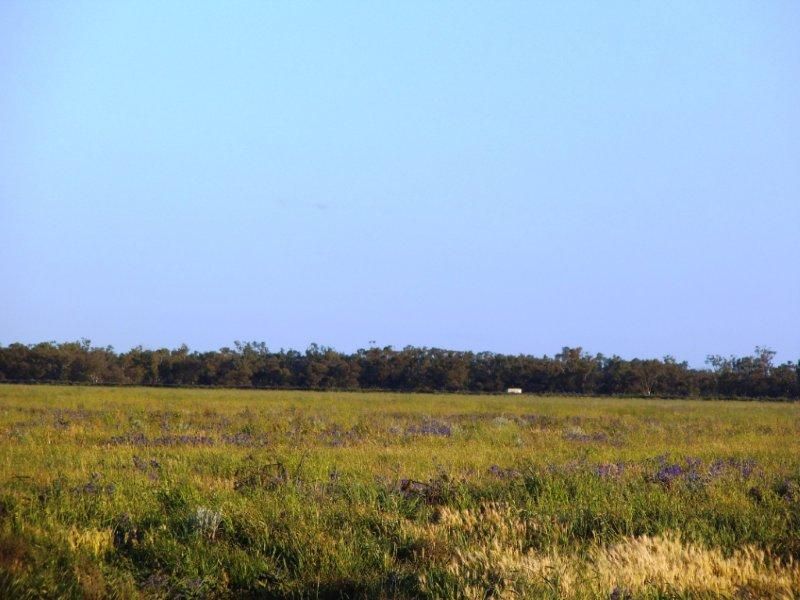 . "Plains East", NARRANDERA NSW 2700, Image 0