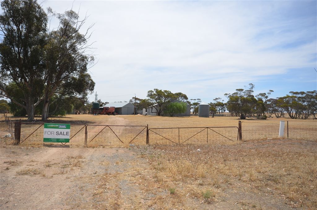 13301 Mallee Highway, Pinnaroo SA 5304, Image 1