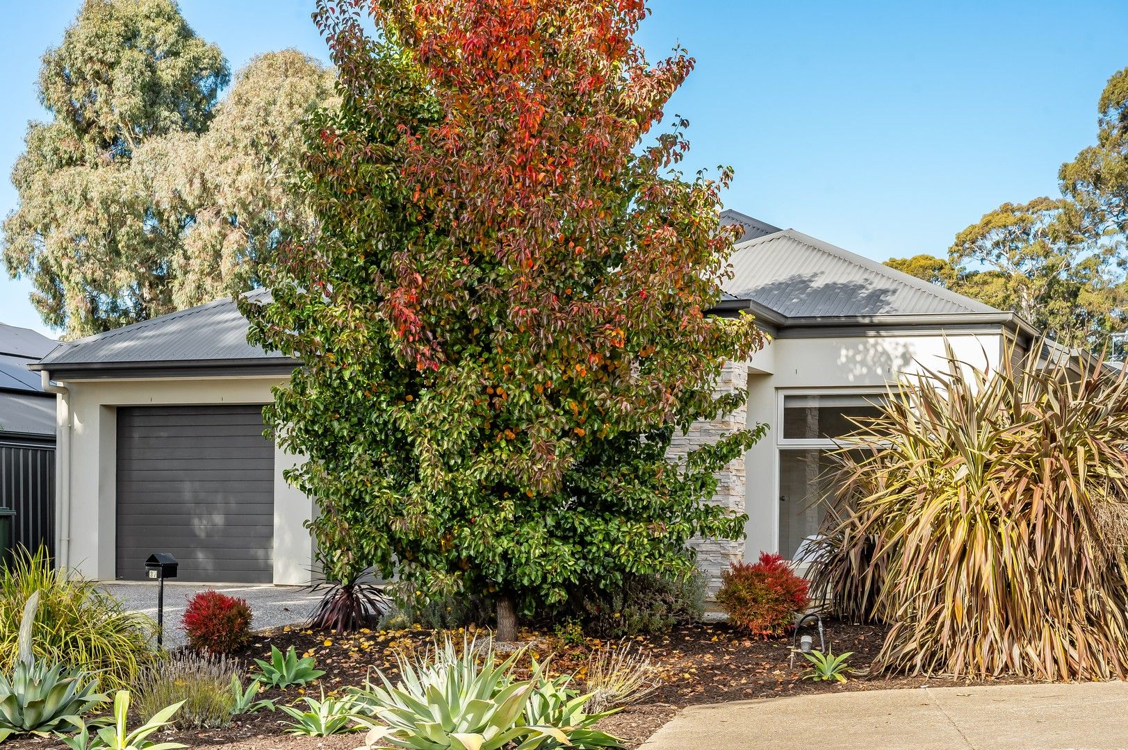 4 bedrooms House in 37 Red Gum Crescent MOUNT BARKER SA, 5251