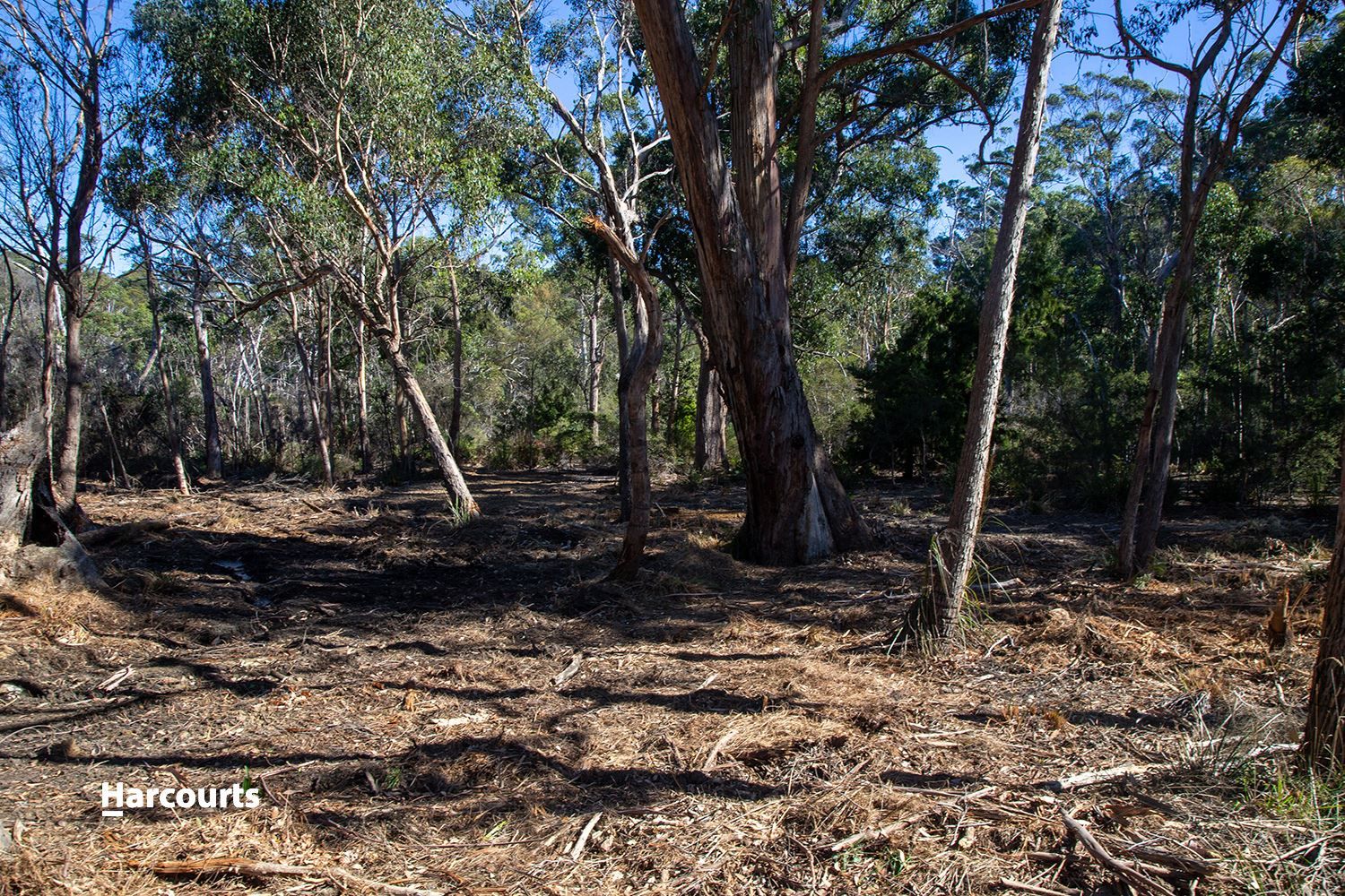 Lot 1 Big Roaring Beach Road, Surveyors Bay TAS 7116, Image 2