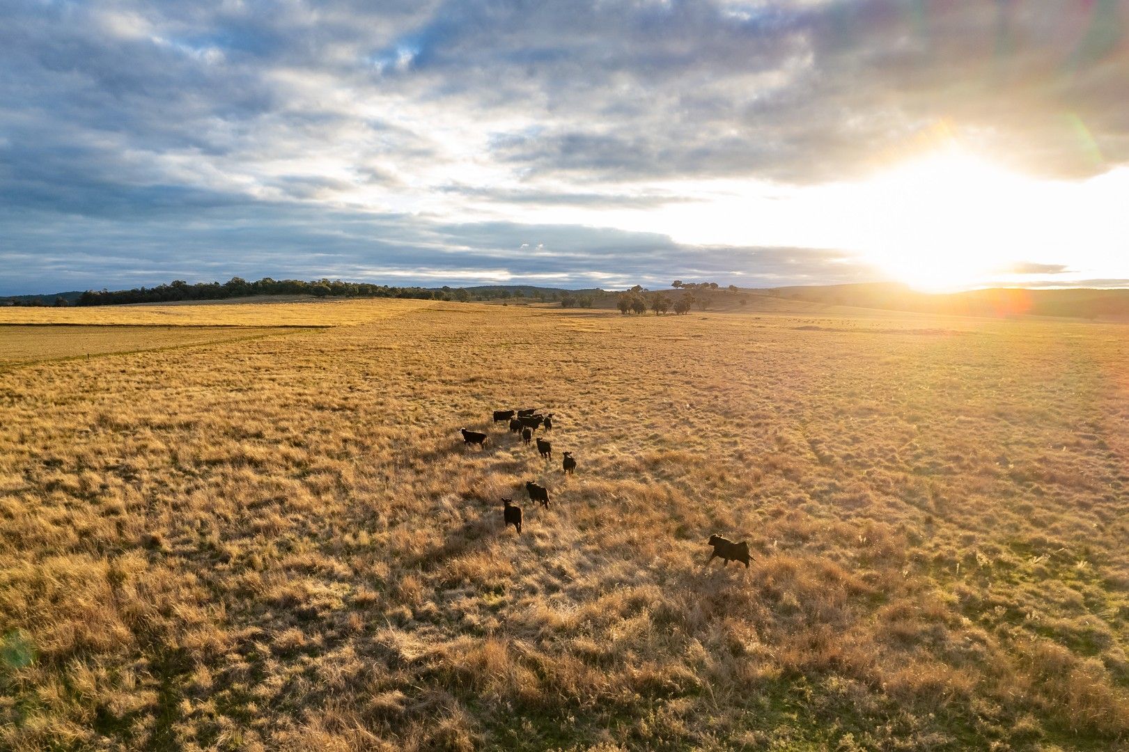 1241 Longs Corner Road, Canowindra NSW 2804, Image 0