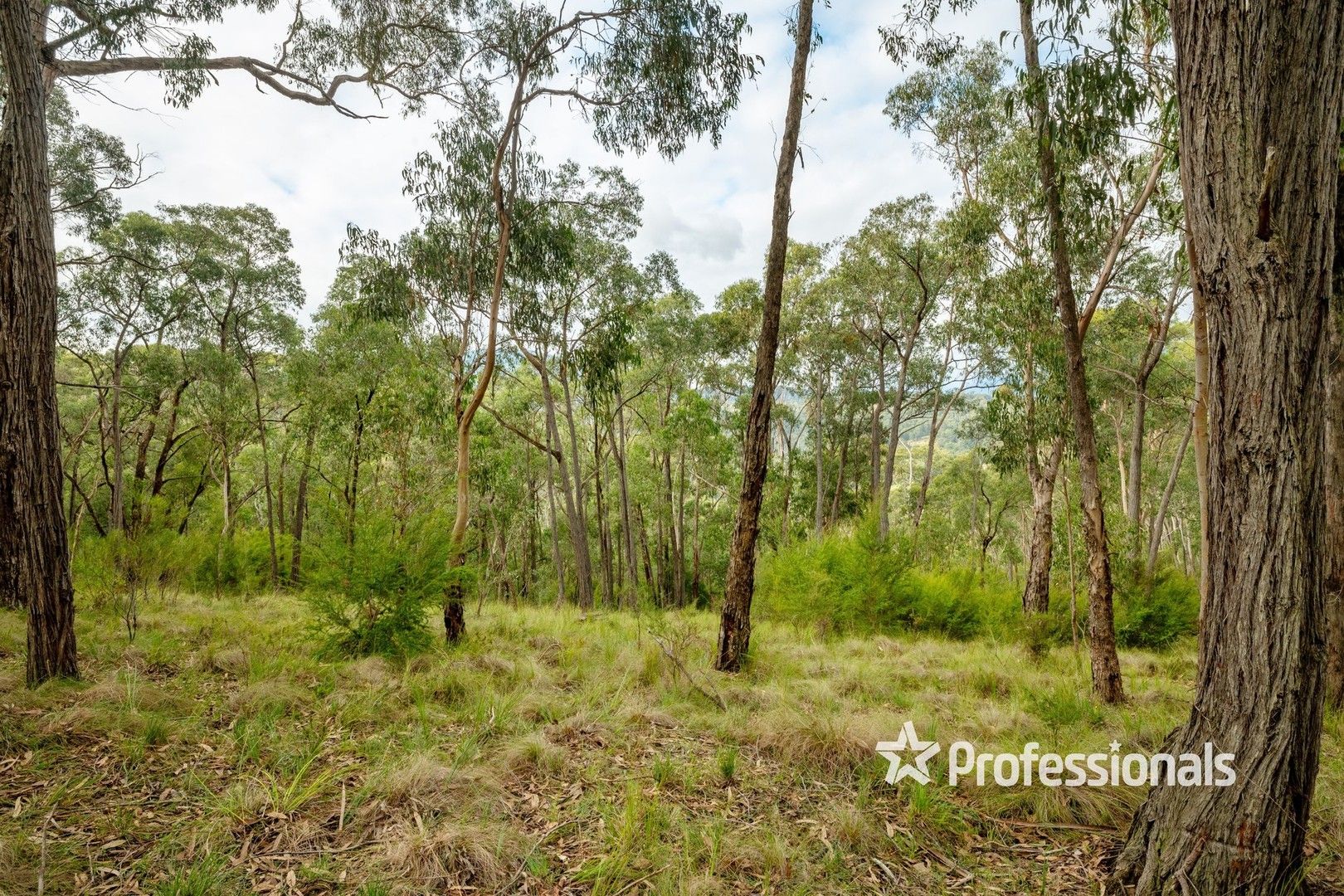 169 Lowes Road, Chum Creek VIC 3777, Image 0