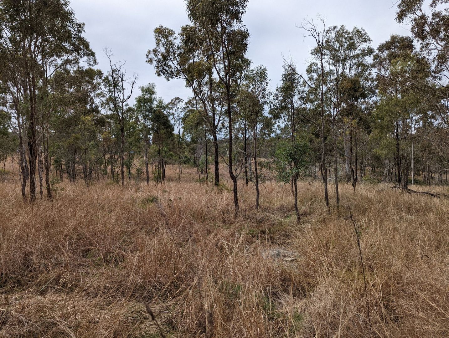 Lot 26 Stretton Drive, Teelah QLD 4314, Image 1