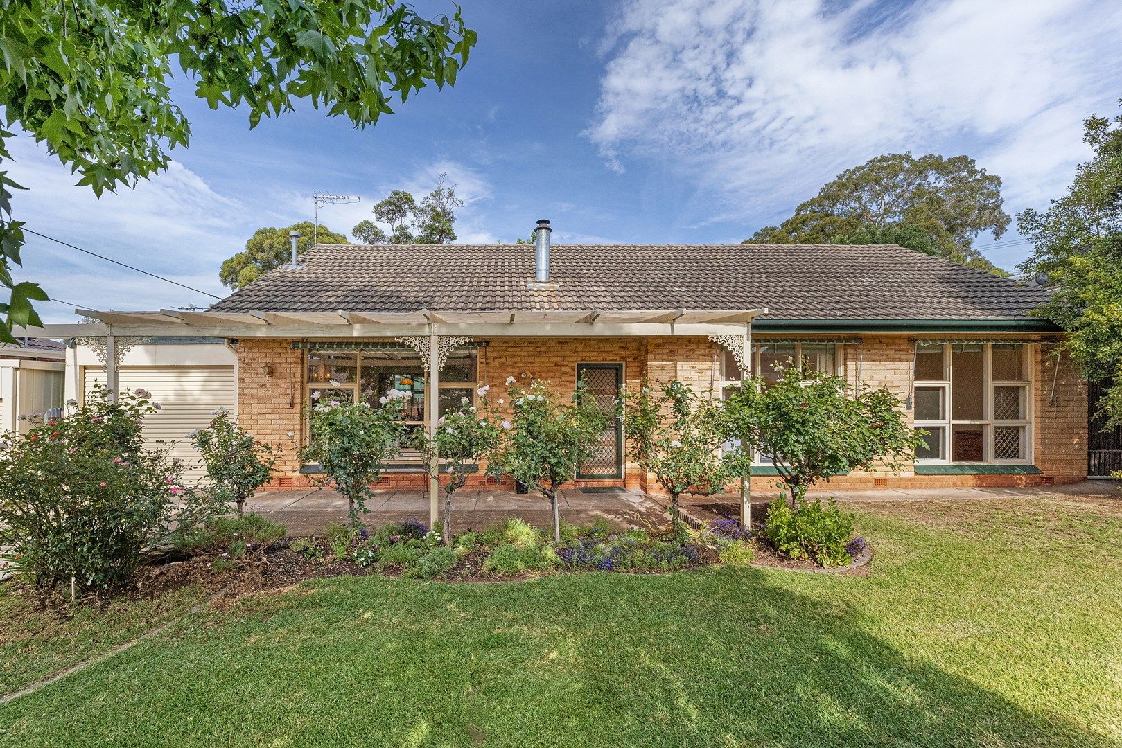 31 Jenkins Avenue, Rostrevor SA 5073, Image 1