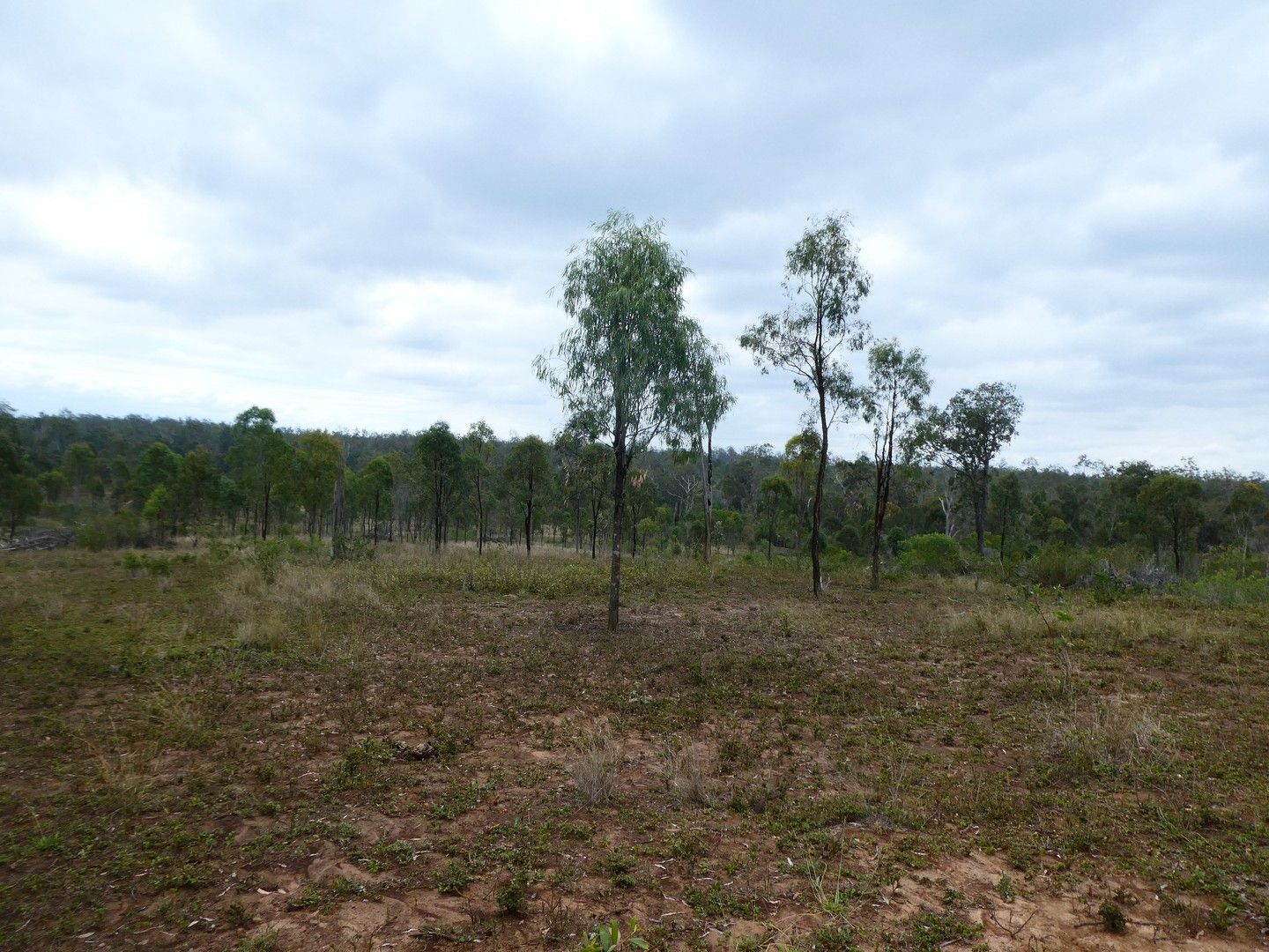 Booyal QLD 4671, Image 0