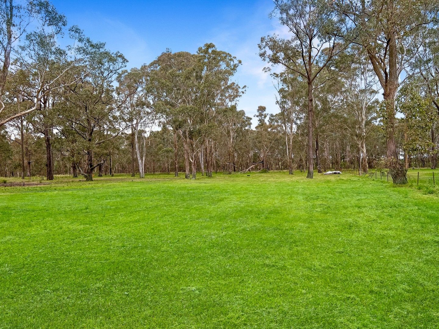 36a Bonner Road, Agnes Banks NSW 2753, Image 0