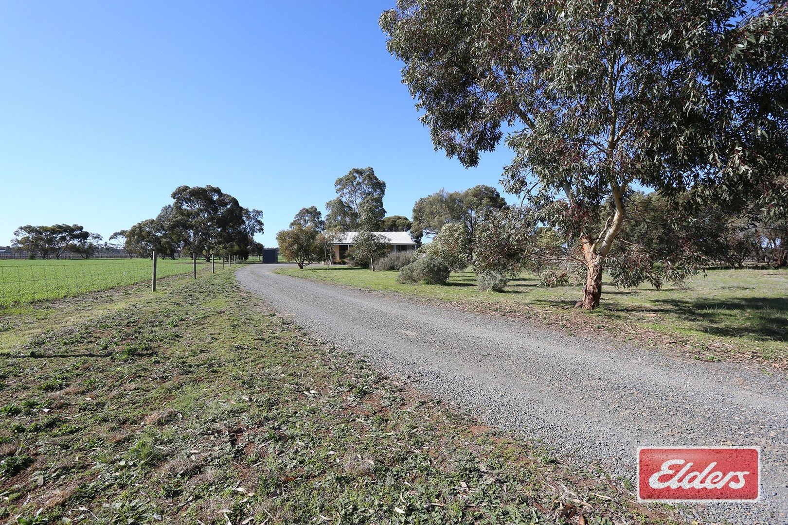 1356 Research Road, Nuriootpa SA 5355, Image 0