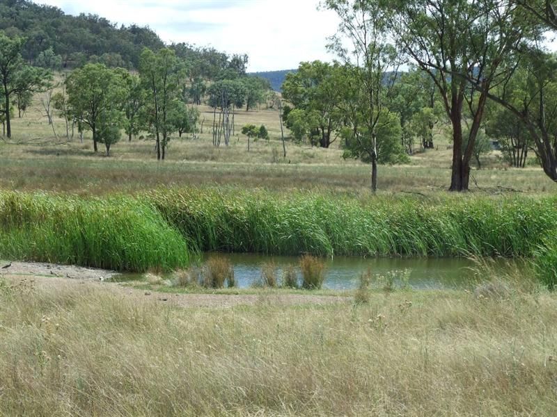 Back Creek Rd, TEXAS QLD 4385, Image 2