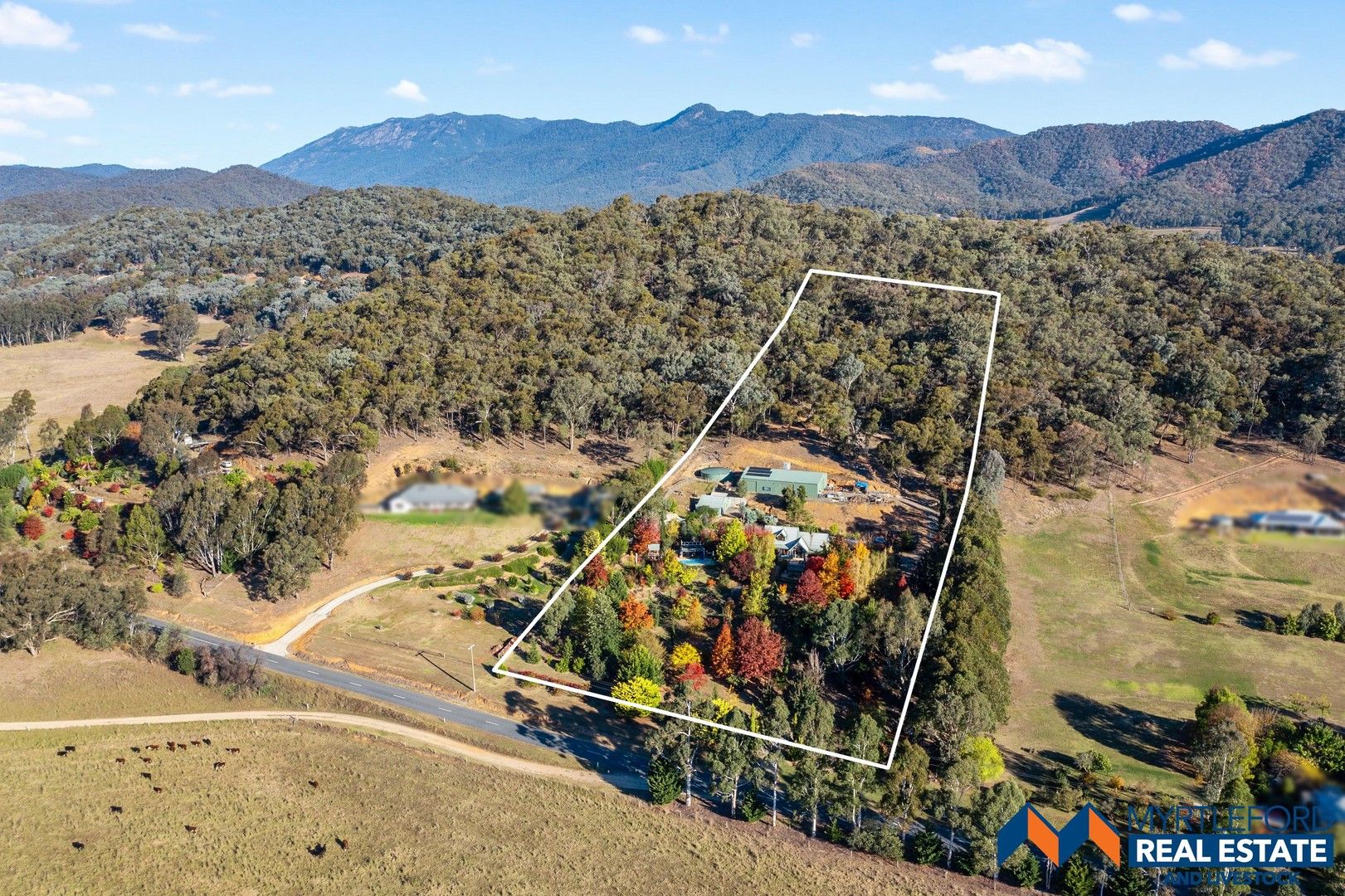 258 Clemens Lane, Myrtleford VIC 3737, Image 1