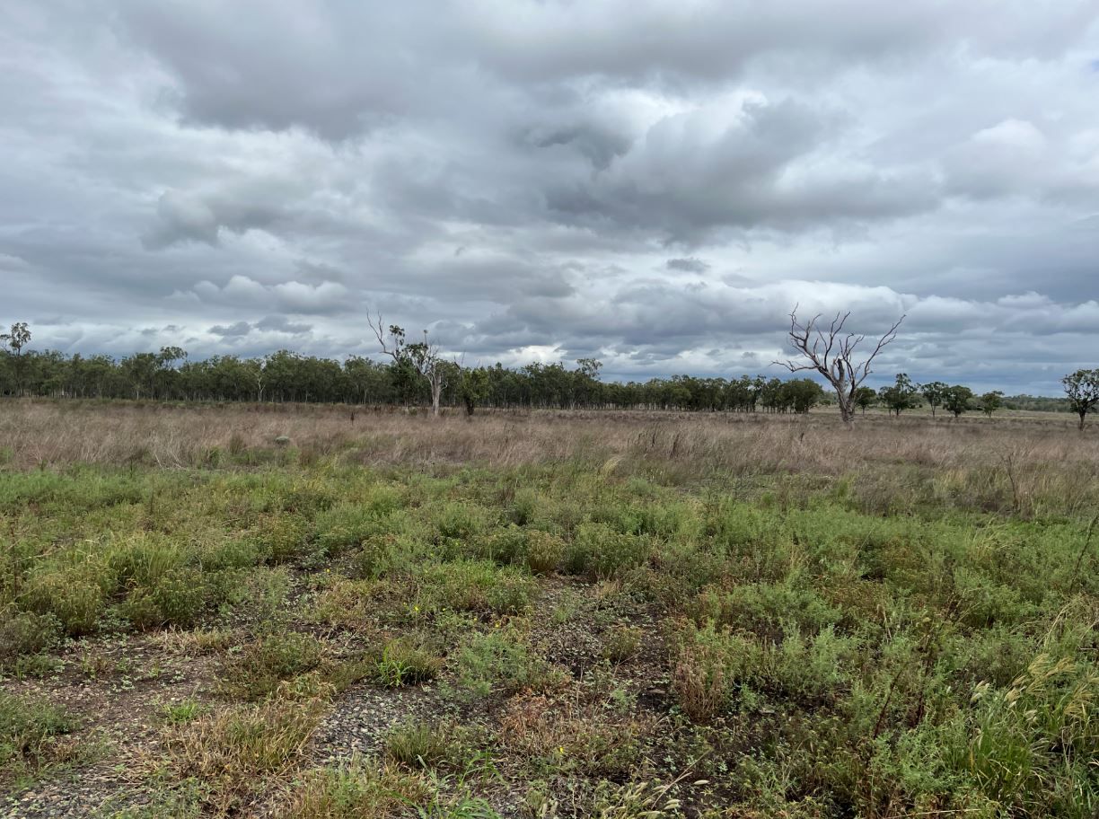 Pirrinuan Malakoff Road, Pirrinuan QLD 4405, Image 1