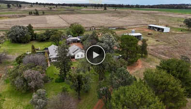 Picture of 3744 Purlewaugh Road, PURLEWAUGH NSW 2357