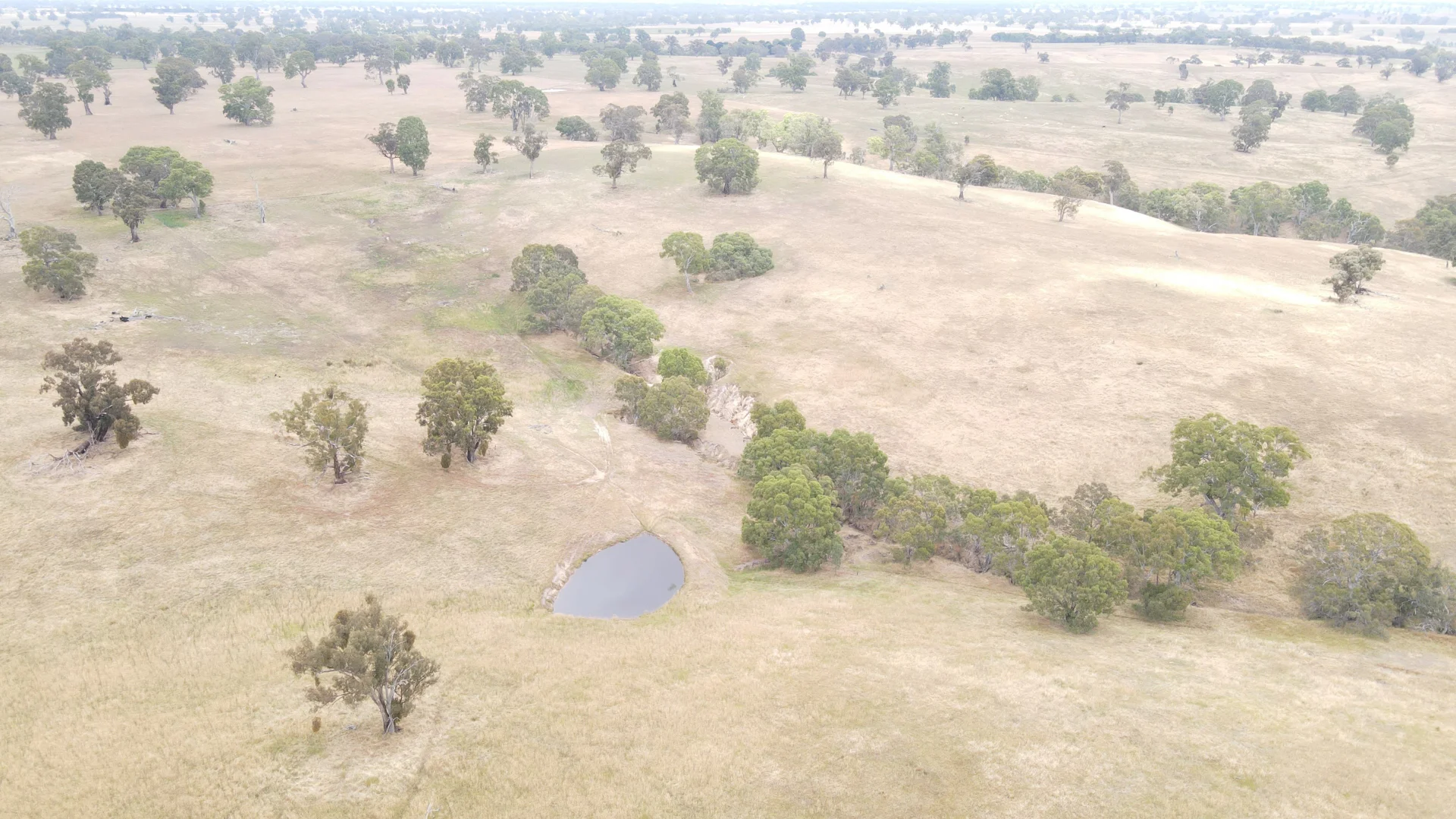 Additional image 24 of 596 Mostyn Lane, Balmoral VIC 3407