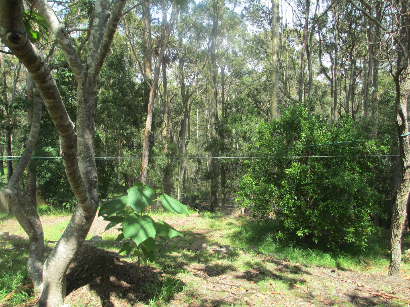 12 Headland Grove, Moruya Heads NSW 2537, Image 2