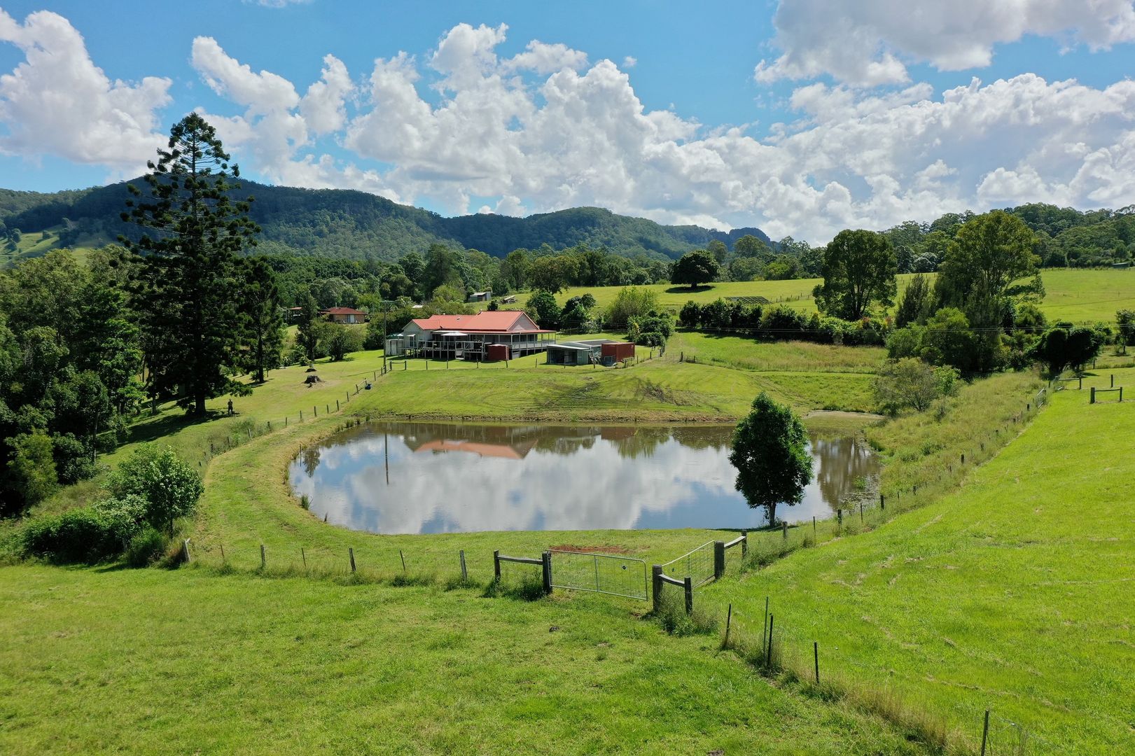 64 Bishops Creek Road, Coffee Camp NSW 2480