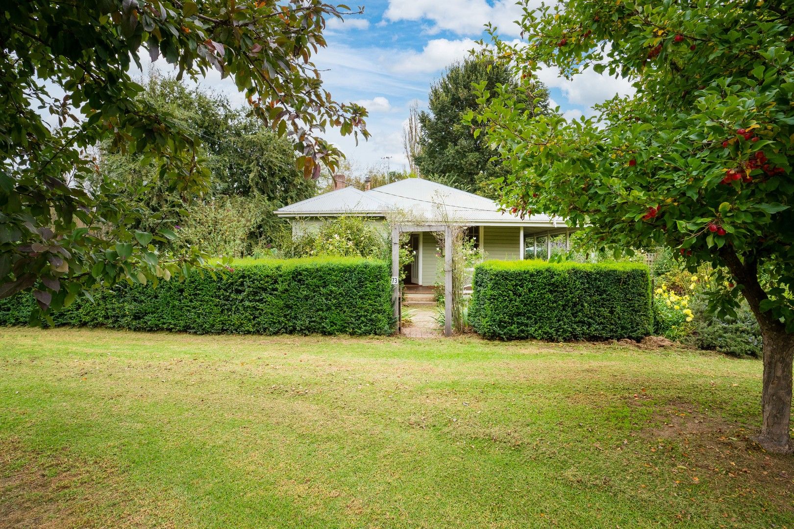 3173 River Road, Jingellic NSW 2642, Image 0