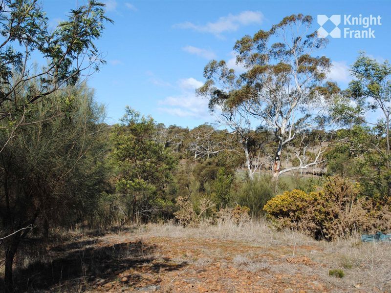 2 Wedge Street, Swansea TAS 7190, Image 2