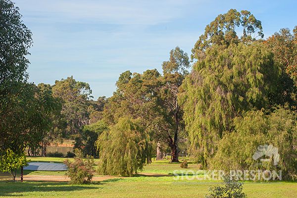 12 Grassybank Cove, Yallingup Siding WA 6282, Image 1