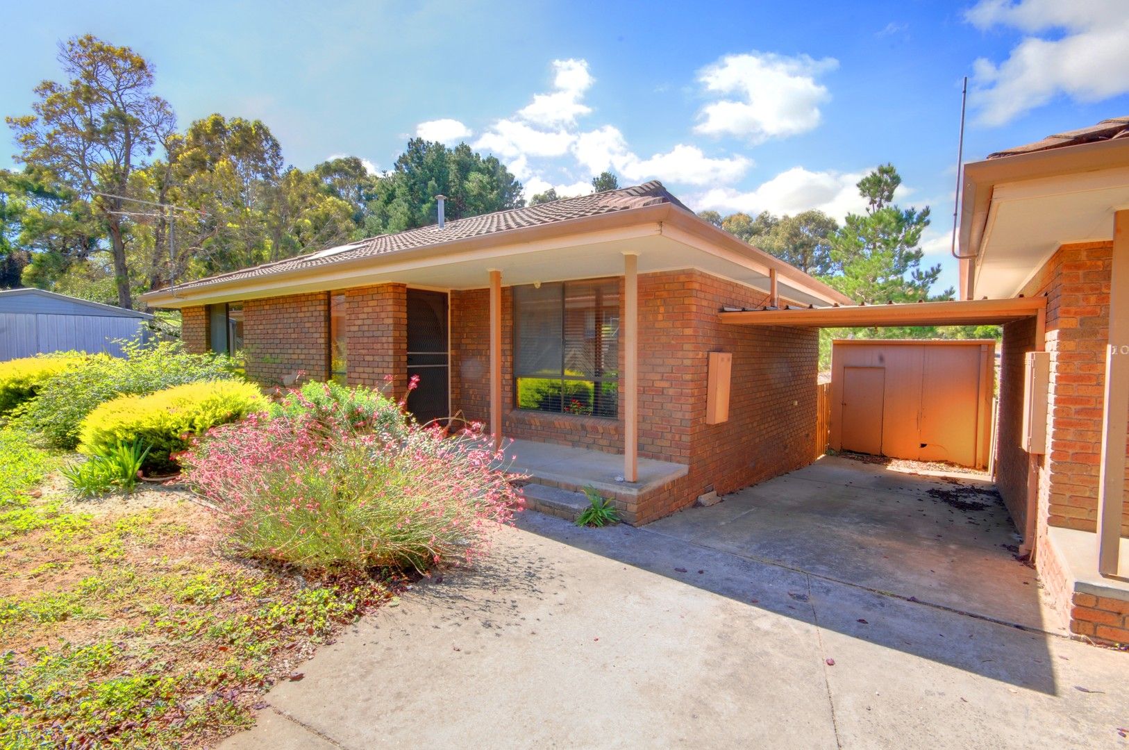 2 bedrooms Apartment / Unit / Flat in 11/45 Otway Street South BALLARAT EAST VIC, 3350