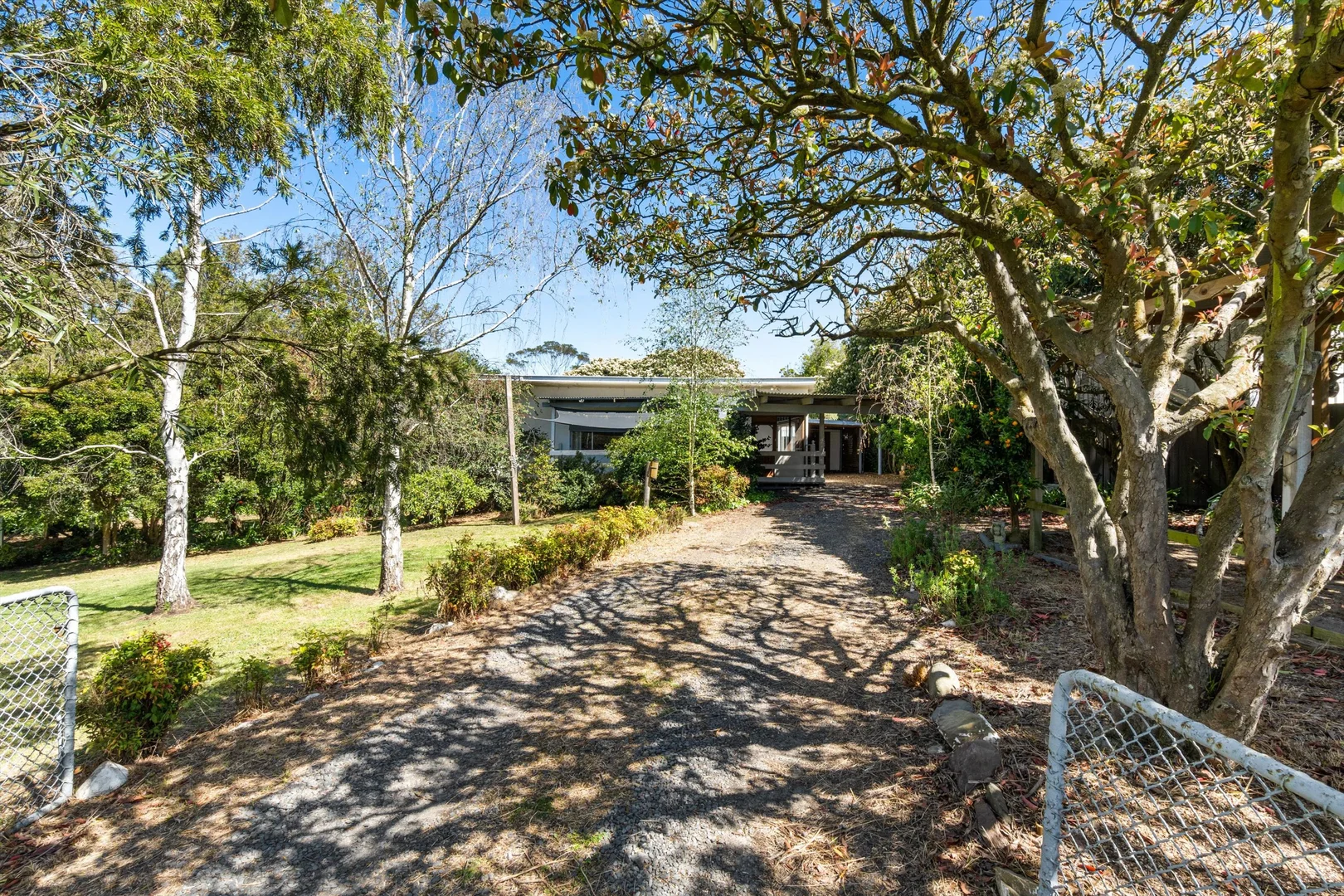 Image 13