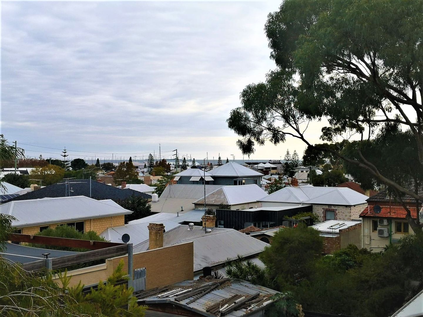 73A Attfield St, Fremantle WA 6160, Image 2