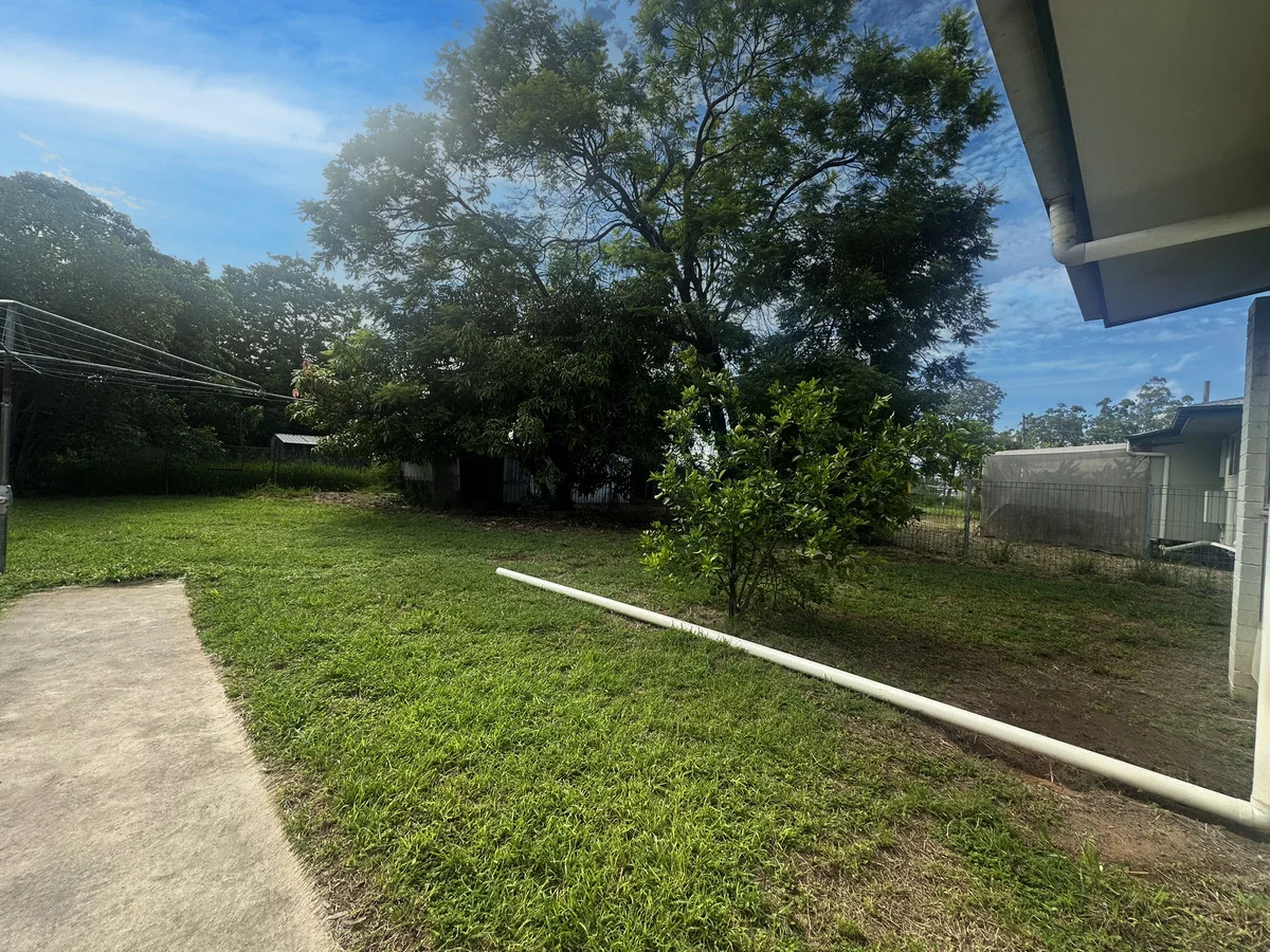 Image 19